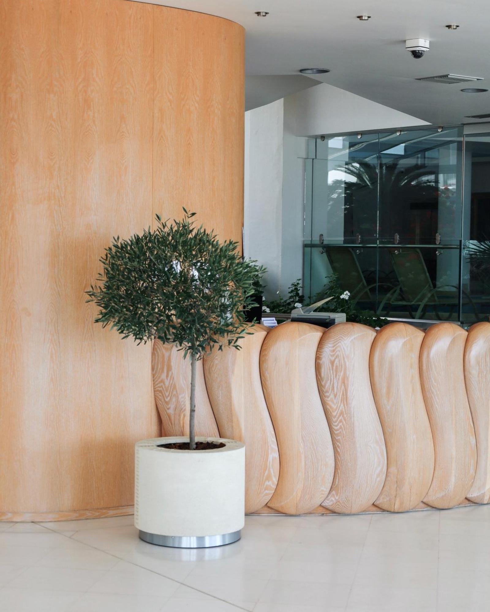 Aegean Blue Beach Hotel Nea Kallikrateia 외부 사진